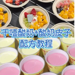 Yogurt milk skin, dry choke yogurt recipe tutorial, dry choke production technology tutorial, entrepreneurial video commercial course