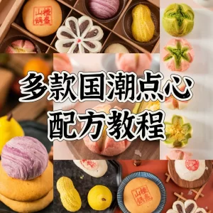 Tutorials for the recipe of many national trend snacks, technical tutorials for the production of national trend snacks, entrepreneurial video business courses